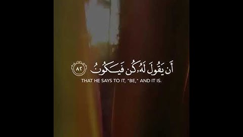 سورة يس للقارئ طارق محمد