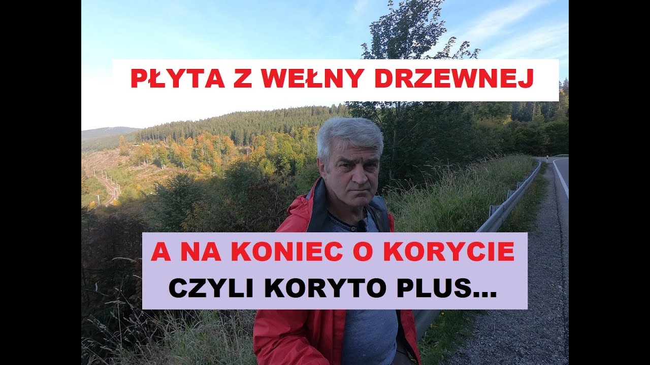 Płyta z wełny drzewnej co to takiego?