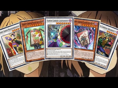siegfried yugioh deck Siegfried's deck vs Joey. Honestly, I'm quite surprised that the Valkyrie  cards are not just anime-only. A shame that others from this season didn't  get the same treatment. Signature Card: Ride of