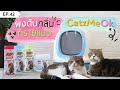 EP 42 ร ว วว ธ กำจ ดกล นเหม นจากกระบะทรายแมว ด วยผงด บกล นทรายแมว CatzMeOk ค ณโบต นชวนค ย