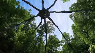 Exploring Crystal Bridges Trails & Outdoor Art | Bentonville, AR