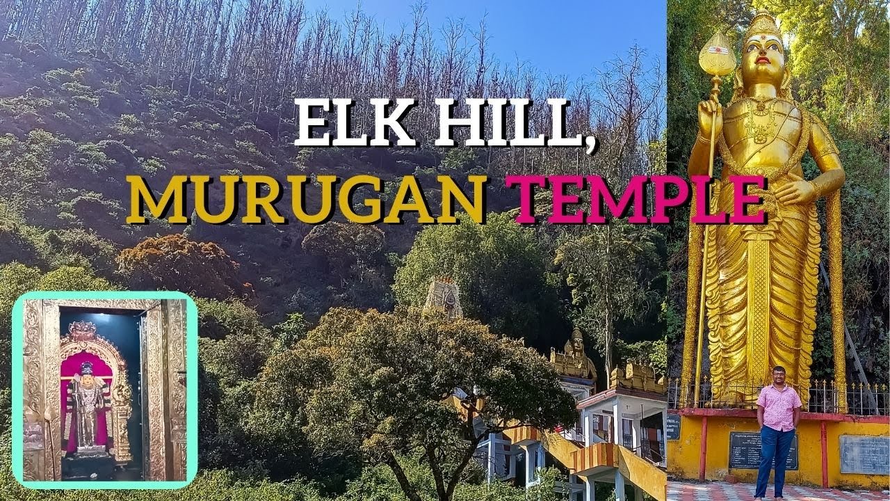 Elk Hill Murugan Temple Ooty | Scenic Hilltop Temple in Nilgiris