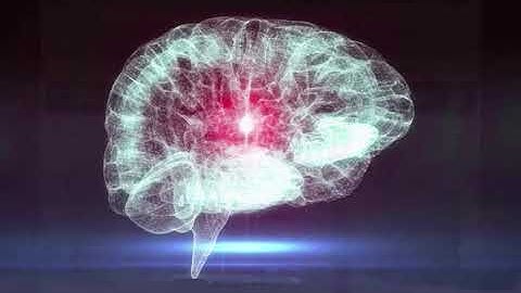 RC21X: Complete Video Demonstration