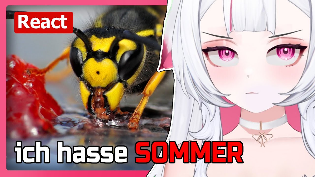 Wespen die **rensöhne | Reaction Moki