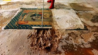 The Bremen Town Musicians patterned dirty carpet cleaning satisfying ASMR
