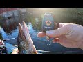 Fishing in sweden rsjn lake 2 pikes 1 perch 1 zander
