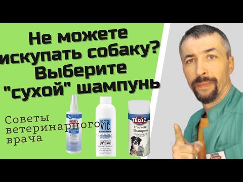 Сухие шампуни для собак