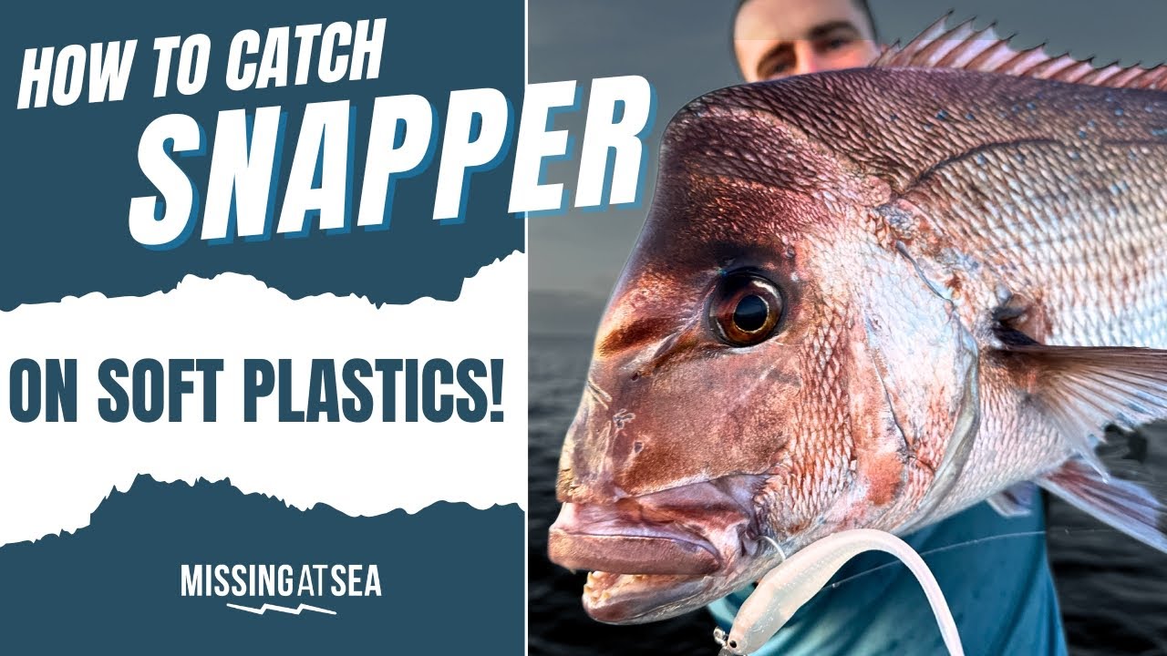 How to catch Snapper on Soft Plastics! 