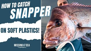 How to catch Snapper on Soft Plastics!