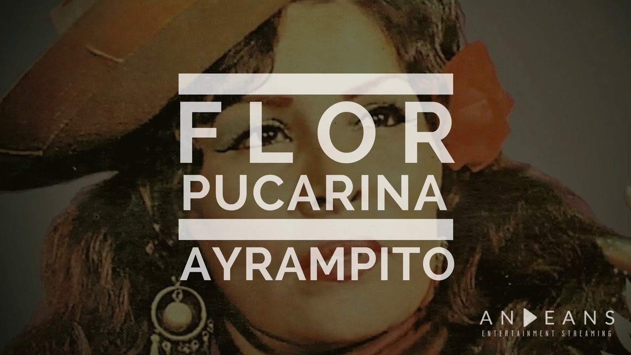 Flor Pucarina - Ayrampito - YouTube