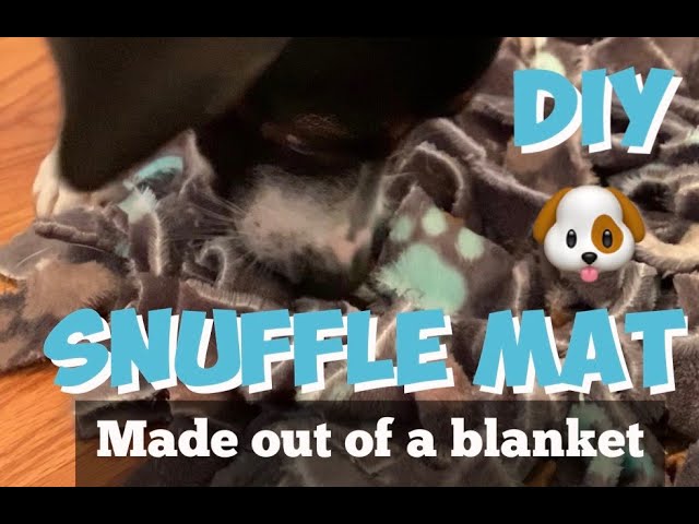 DIY: Make Your Dog (or Cat) a Snuffle Mat – The Honest Kitchen