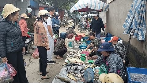 Các loại Cá Hồ Thủy Điện Thác Bà và Sông Chảy Tại Chợ Sép Thác Bà,Tuyên Quang TV 