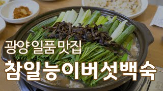 광양 건강 보양식! 참일능이버섯백숙 | 광양맛집 | 능이버섯 맛집  | 교차로TV