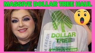 MASSIVE DOLLAR TREE HAUL | February 12, 2024