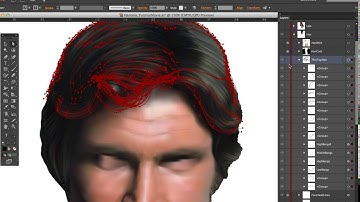1200 Guide 10 • Gradient Mesh Face Tutorial Movie 5 • Hair Techniques