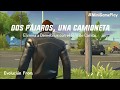 Gangstar New Orleans | Vamos a la acción!!! Cap 7 | Eventos Gangstar | #MiniGamePlay
