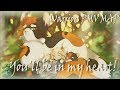 Warriors PMV MAP||You'll be in my heart!|COMPLETE