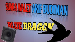 sp arif budiman|blue dragon orighinal