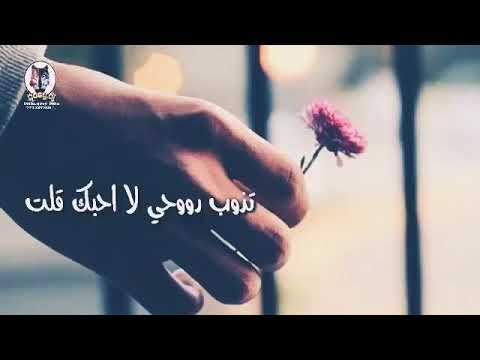 تذوب روحي لا احبك قلت