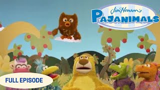 Starting School Tomorrow Pajanimals