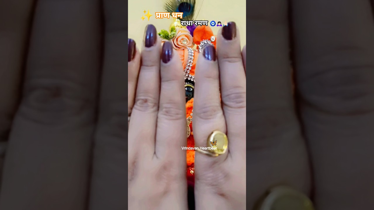 Nimai Pathshala Anthem🧿🙏🏻