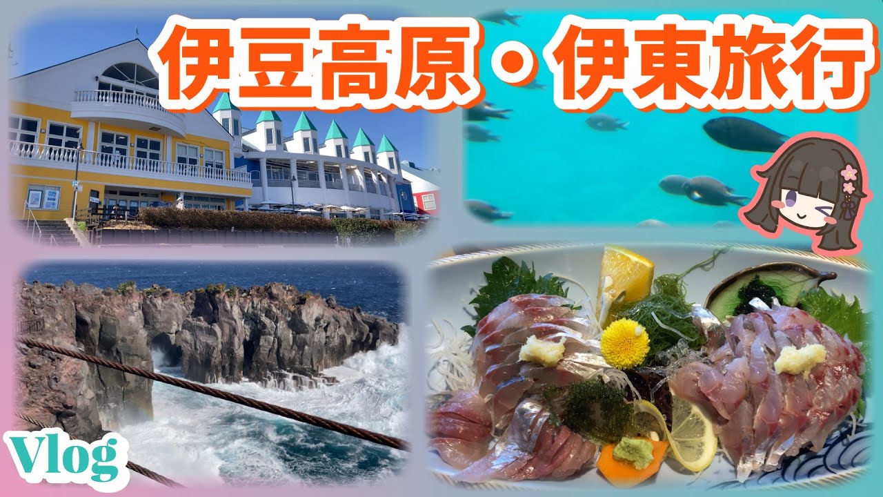 I stayed at Mori no Izumi / Honke Maguroya / Jogasaki / Mt. Omuro