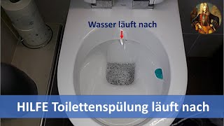 Toilettenspülung Wasser läuft nach | Was tun?