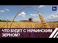 Кто решит судьбу украинского зерна? Панорама