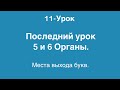Арабский алфавит • Махрадж аль-Хуруф • финал • Урок-11 / #арабскийалфавит #махраджи #ислам #тажвид