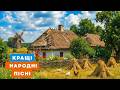 НАРОДНІ ПІСНІ КРАЩА ЗБІРКА