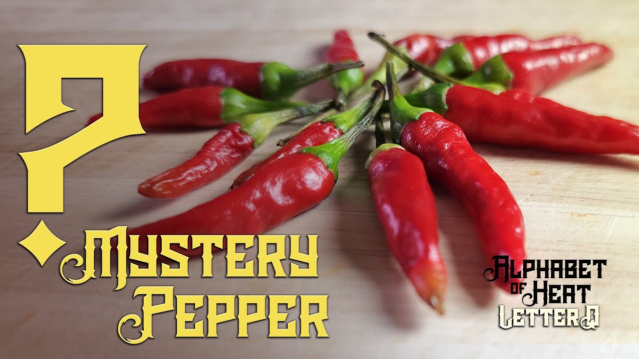 MYSTERY PEPPER Things are NOT what they seem!! Question Mark Pepper Alphabet of Heat Q YouTube