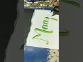 MAAZ name calligraphy with Brush Pen #calligraphy#brushpen #drawing #shortvideo #doms #youtubeshorts