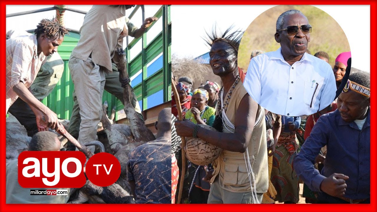 TAZAMA SHANGWE LA JAMII YA 'WAHADZABE' WAKIPEWA KITOWEO CHA NYAMA YA PORI ILI WAHESABIWA SENSA 2022