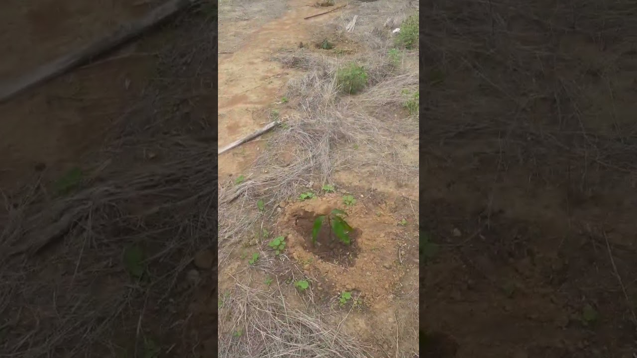 22 de fevereiro de 2026