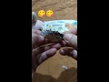 Unwrapping kisses chocolate #shortvideo #short #asmr #viralshort #ytshorts