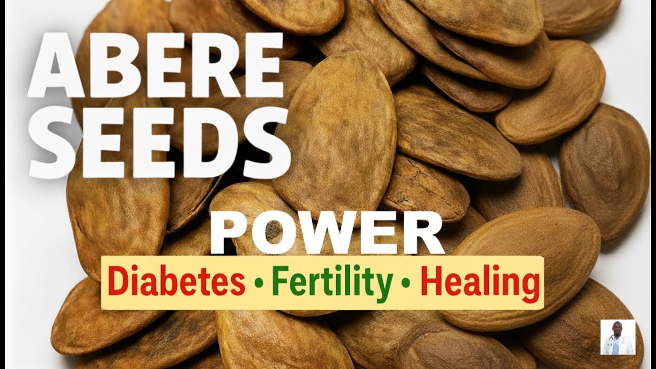 Why Abere Seed is West Africa’s Most Powerful Healing Secret.