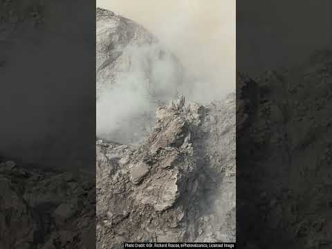 Video: Kaip pamatyti Rainier kalną Sietle