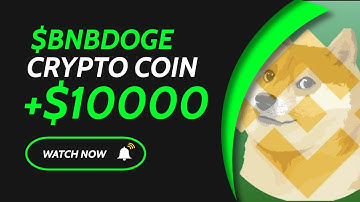 $BNBDOGE - The Next MASSIVE GEM Found!! | Get Paid In BNB For Holding!