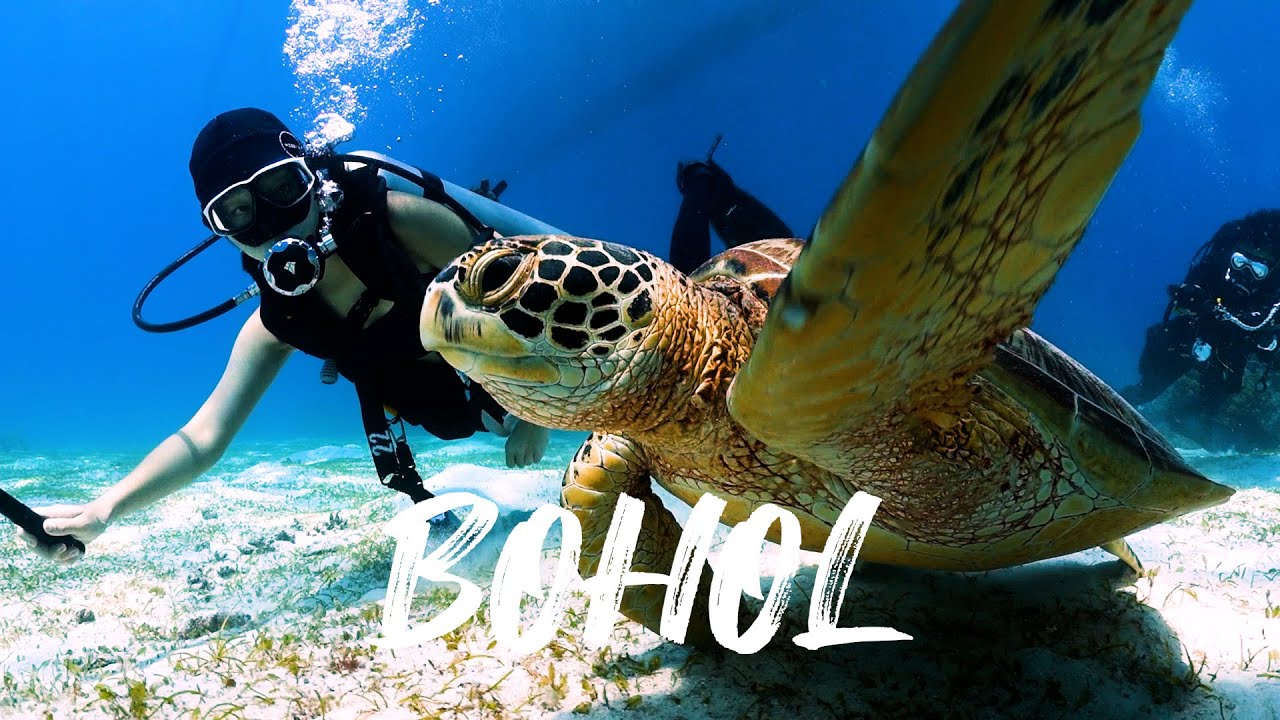 보홀 다이빙 브이로그 bohol vlog🤿 (4K)