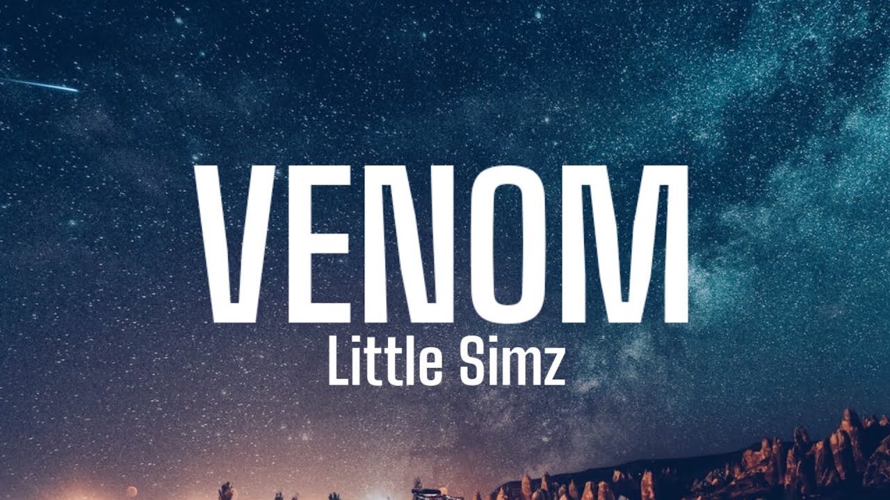 Little Simz - Venom (Lyrics) "It's a women's world so to speak venom" [Tiktok Song]