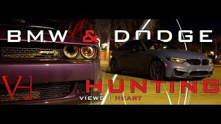 BMW & Dodge Hunting!