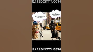 Mr.BakedKitty Shenanigans  #catlife #catlovers #catnip #catnipcraze #catshorts #catvideos