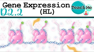 (D2.2) - Gene Expression - IB Biology (HL)