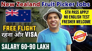 New Zealand Fruit Picker Jobs | New Zealand Work Permit 2023 | Jobs in New Zealand