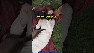 Your Dog Chemically Hijacked Your Brain (15,000 Years Ago) #DogScience #Oxytocin #shorts