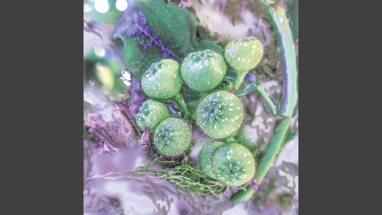 Caustics auf YouTube ansehen Caustics auf YouTube ansehen