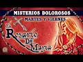 Rosario de Maria: Hoy Viernes 22 de Octubre (Misterios Dolorosos)