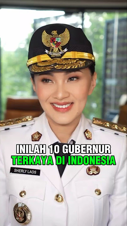 10 GUBERNUR TERKAYA DI INDONESIA
