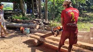 Professional Timber Cutting: Ultimate Hardwood Processing with a Giant Chainsaw