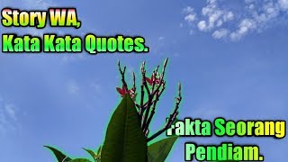 Story WA, Kata Kata Quotes. Fakta Seorang Pendiam.